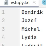 Erzeugt eine Instanz der Klasse Generator. Ruft Eingabedaten über Personen ab und listet die eingeloggten Personen auf. Erzeugt alle möglichen eindeutigen Paare und listet sie auf. 